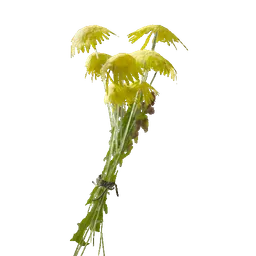 Dandelion | Pax Dei Universe