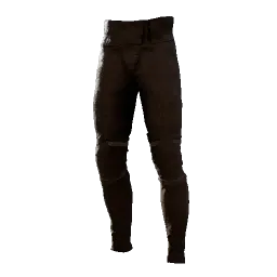 Satisfactory Leather Pants